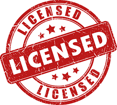 Synology 1x Camera Licence